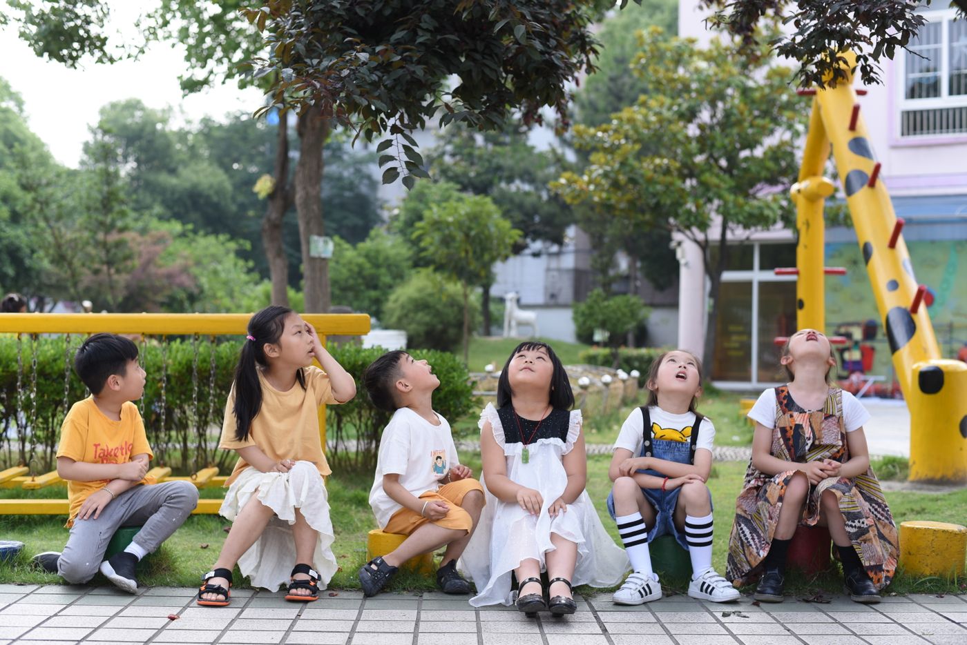 公園で木を見上げる子どもたち